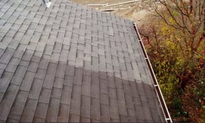 Burnaby Pressure Washing roof cleaning