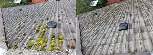 Burnaby Pressure Washing roof cleaning before and after 3