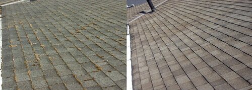 Burnaby Pressure Washing roof cleaning before and after 4